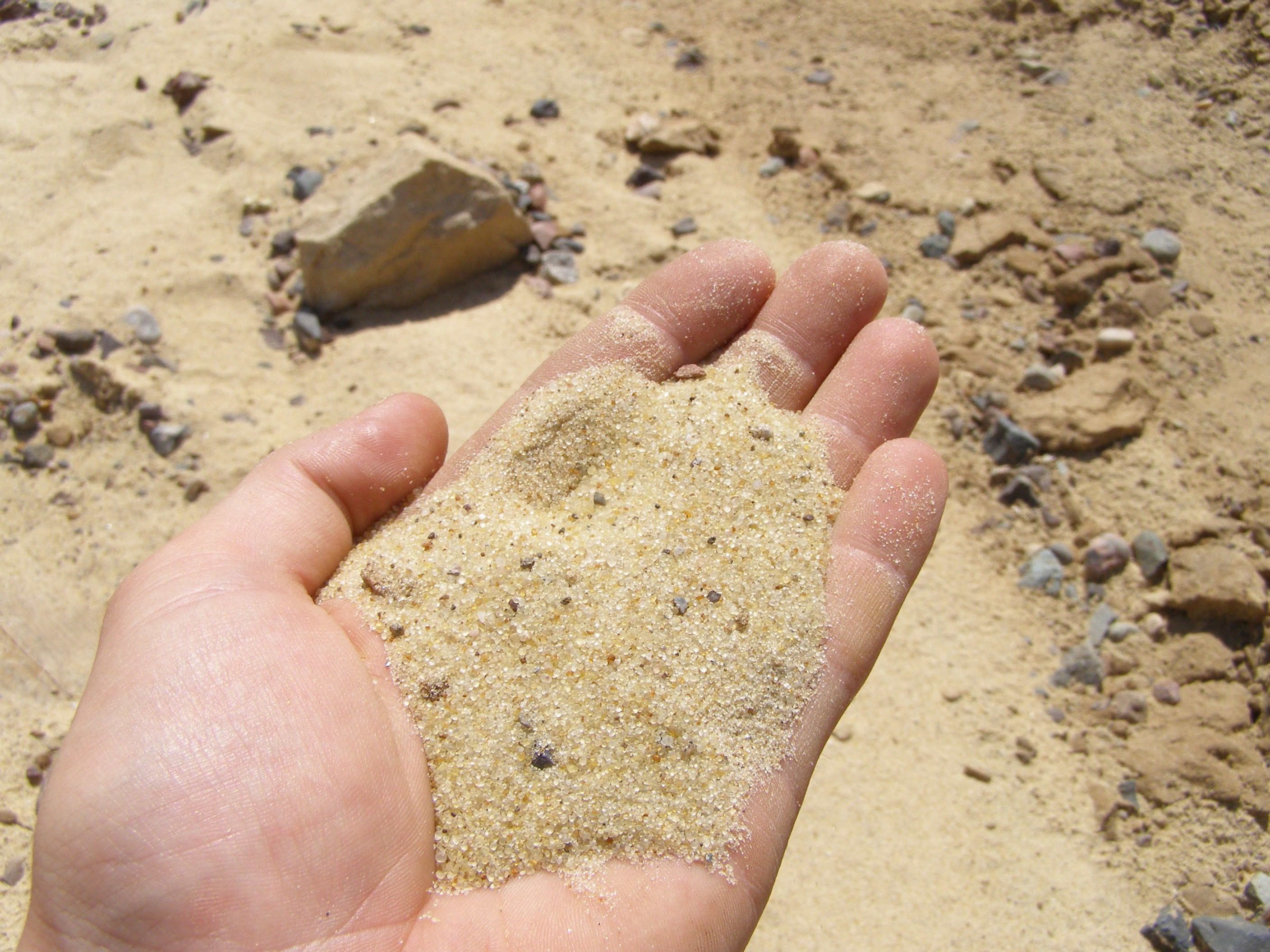 the-sand-banzai-surf-school